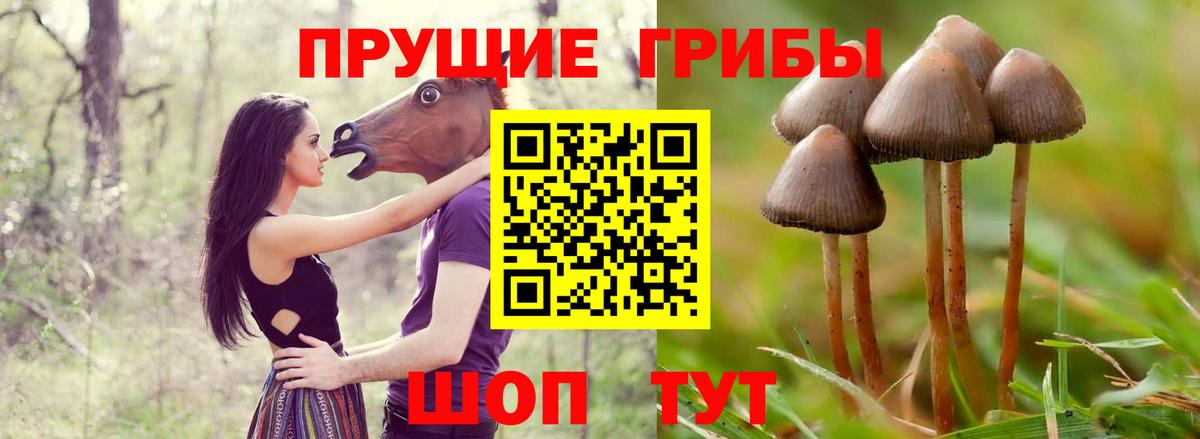 Галлюциногенные грибы MAGIC MUSHROOMS Светлоград